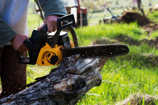 Lawn Watering Services in Rome, NY